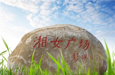 大咖云集 “湘女广场”美学建设研讨会